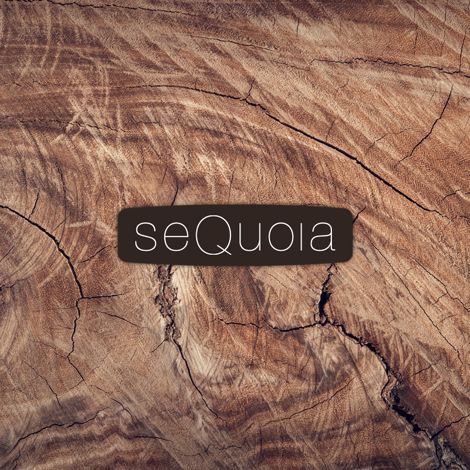 Halloween vier jij bij Sequoia!